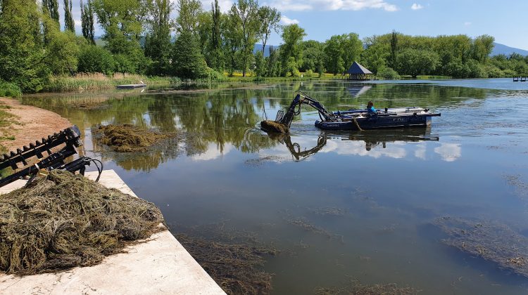 Vejsplachy, Vrchlabí, cistenie jazera, ciste jazero, kosenie vodnej plochy